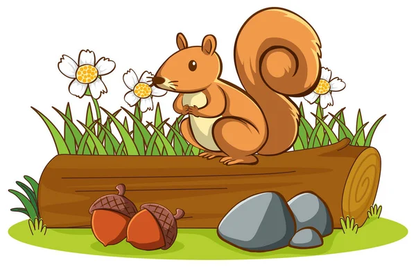 Odizolowane zdjęcie słodkiej wiewiórki — Wektor stockowy