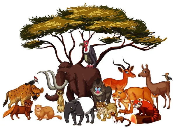 Isolated picture of many animals under the tree — Stock Vector