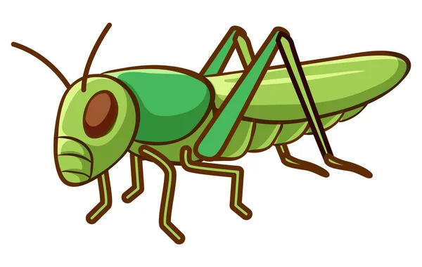 Kobylka zelená na bílém pozadí — Stockový vektor