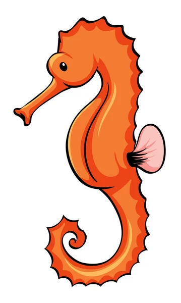 Orange seahorse on white background — Stock Vector