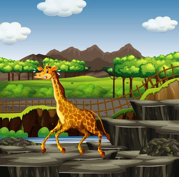 Scena z żyrafą w zoo — Wektor stockowy