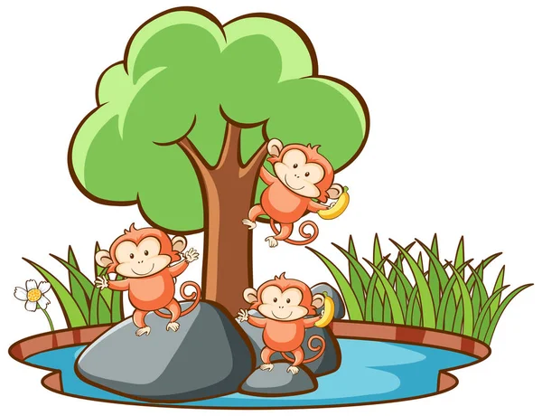 Scene with monkeys in the pond — Stock Vector