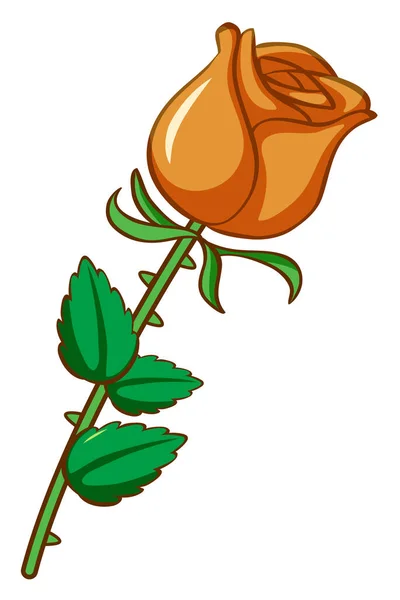 Orange rose on white background — Stock Vector