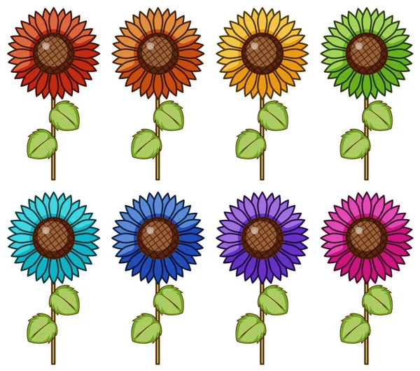Isolated set of flower in different colors — Stock Vector