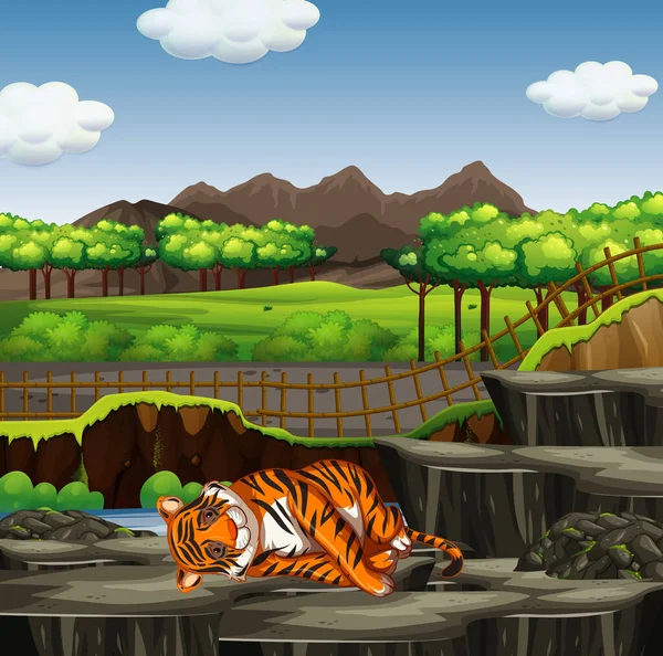 Szene mit Tiger im Zoo — Stockvektor