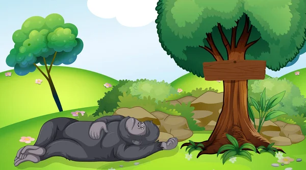 Scene with gorilla sleeping under the tree — Stock Vector