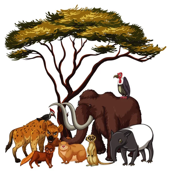 Imagen aislada de animales salvajes bajo el árbol — Vector de stock