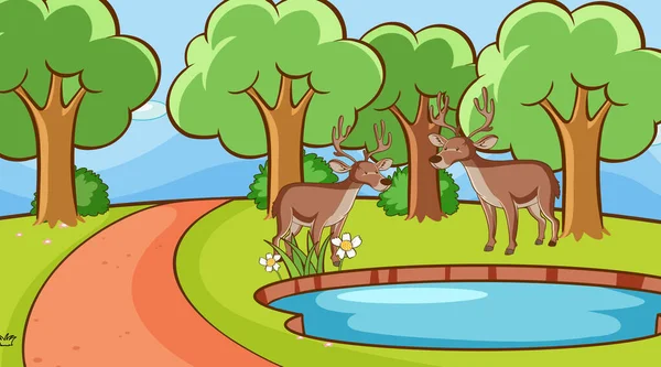 Scéna s jeleny v lese — Stockový vektor