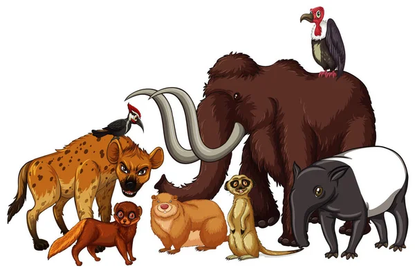 Ізольована картина багатьох диких тварин — стоковий вектор