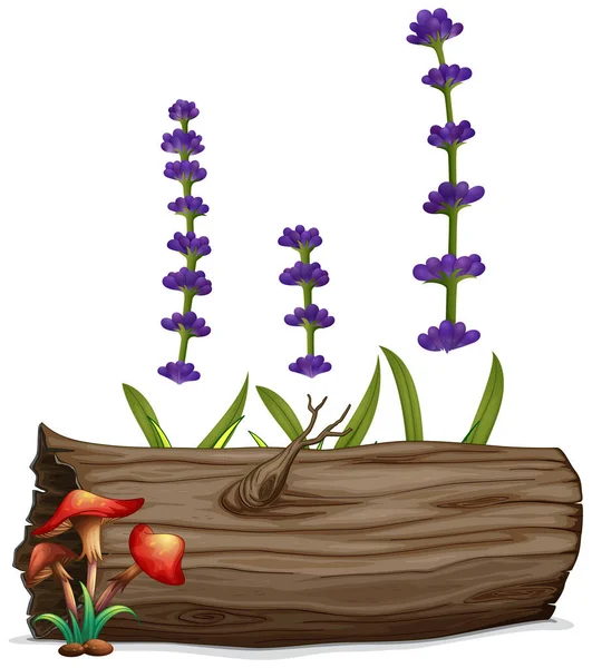 Lavendelblüten mit Baumstamm und Pilz — Stockvektor