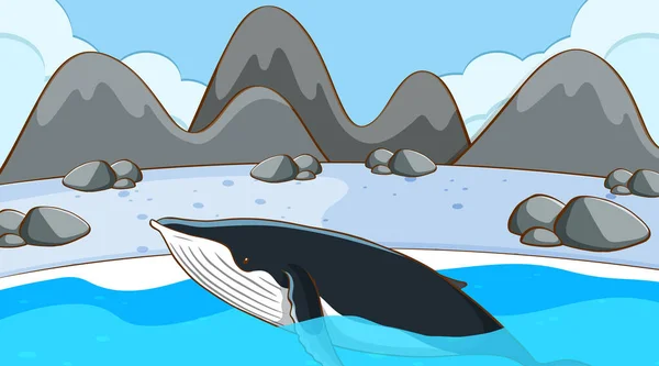 Baleine nageant dans l'eau froide — Image vectorielle