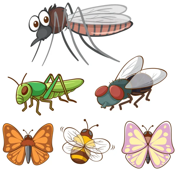 Imagem isolada de diferentes insetos — Vetor de Stock