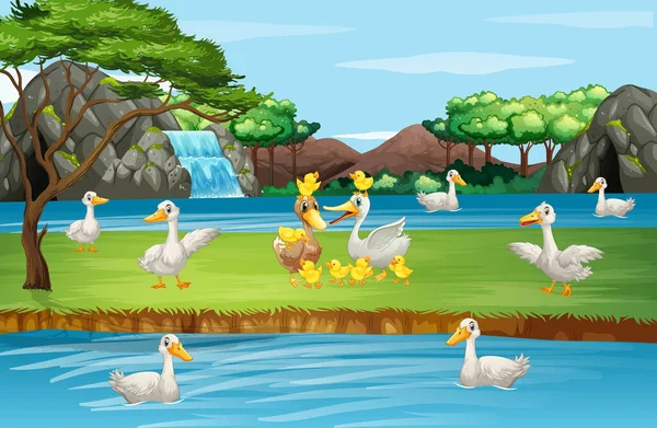 Scène avec des canards au bord de l'étang — Image vectorielle
