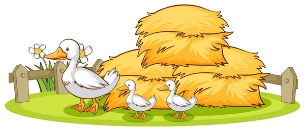 Isolated picture of ducks and hay — Stock Vector
