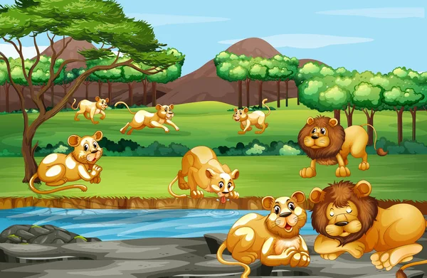 Escena con muchos leones en el campo — Vector de stock