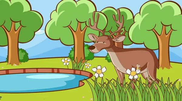 Scene with deer in forest — Stock Vector