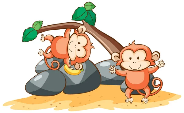 Two monkeys on the tree — Stock Vector