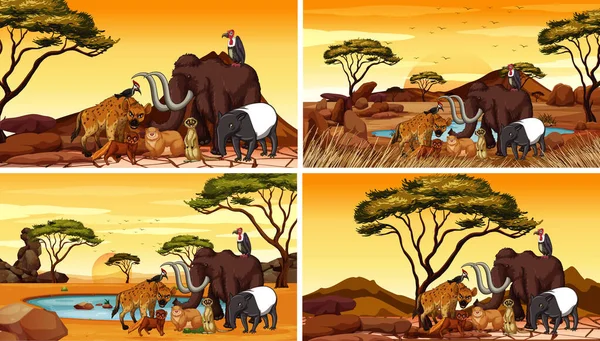 Quatro cenas com animais africanos no campo —  Vetores de Stock