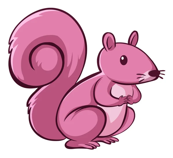 Rosa Eichhörnchen auf weißem Hintergrund — Stockvektor