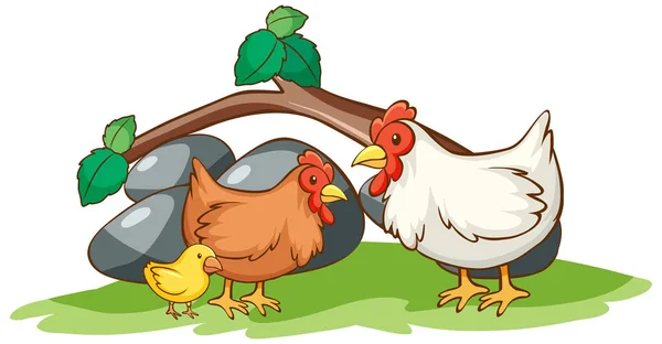 Isolated picture of chickens in the garden — Stock Vector