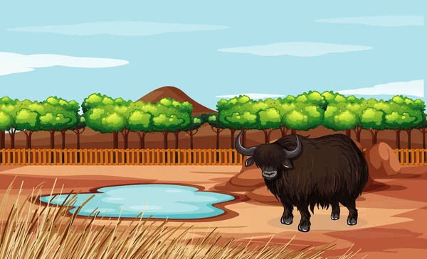 Scene with buffalo in the field — Stock Vector