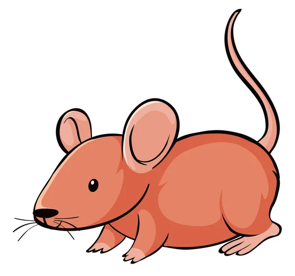 Cute rat on white background — Stock Vector