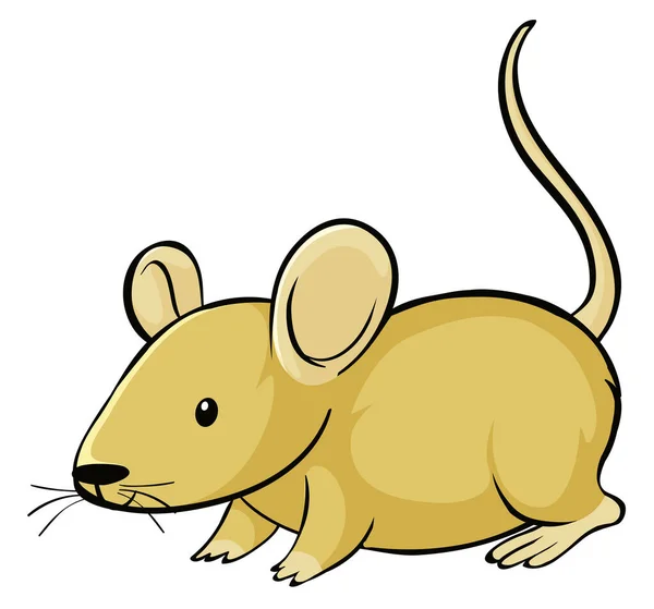 Rato amarelo sobre fundo branco — Vetor de Stock