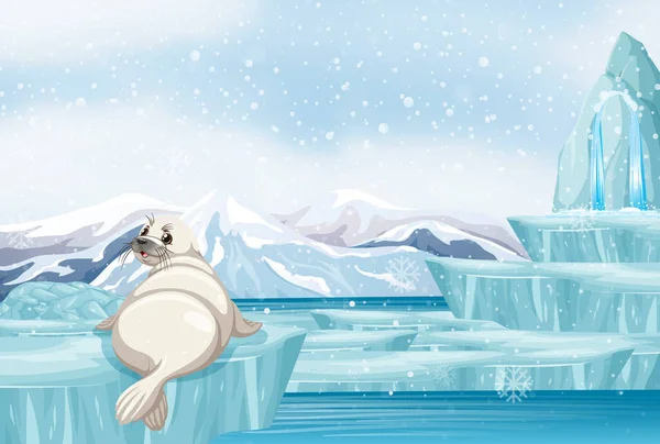 Scène met witte zeehond op ijs — Stockvector