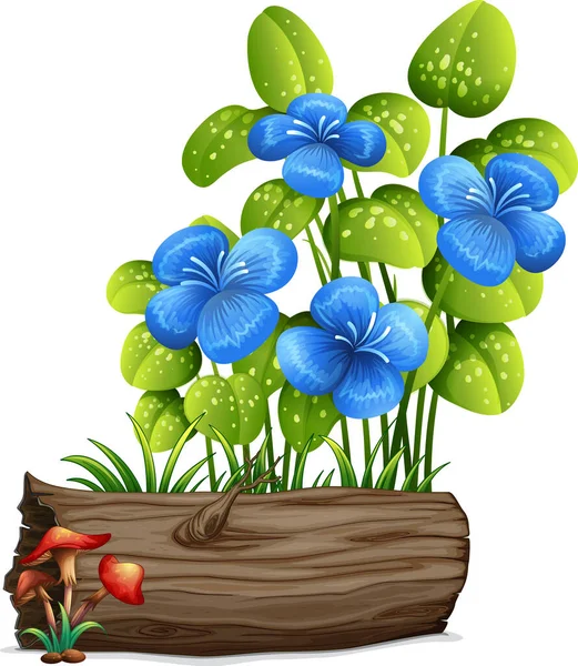 Blå blommor och svamp på vit bakgrund — Stock vektor