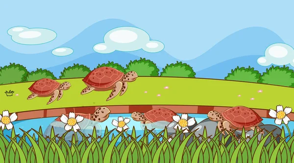 Scéna se želvami v jezírku — Stockový vektor
