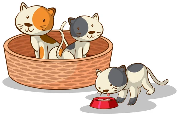 三只白色背景的猫 — 图库矢量图片