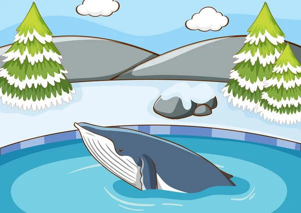 Escena con natación de ballenas — Vector de stock