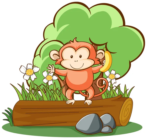 Cute monkey on white background — Stock Vector