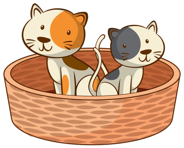 Twee kittens op witte achtergrond — Stockvector