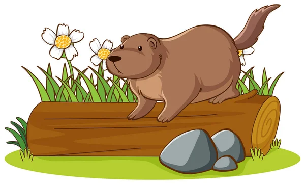 Isolated picture of beaver on log — Stock Vector