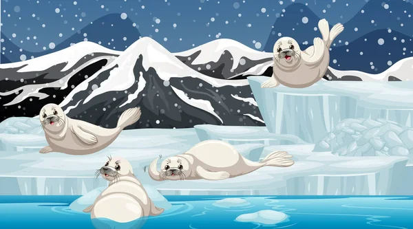 Winter scene met vier zeehonden op ijs — Stockvector