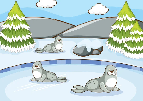 Scena con foche in inverno — Vettoriale Stock
