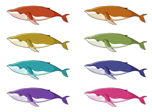 Ballena en muchos colores — Archivo Imágenes Vectoriales