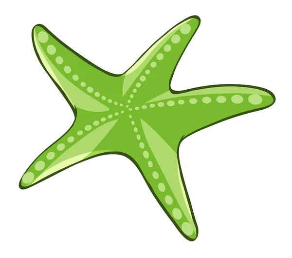 Estrella de mar verde sobre fondo blanco — Archivo Imágenes Vectoriales