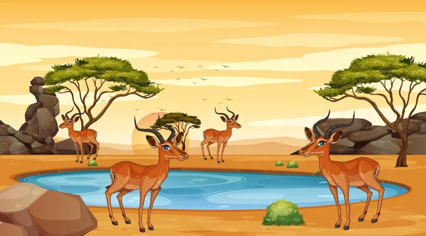 Scena con gazzelle nel campo — Vettoriale Stock