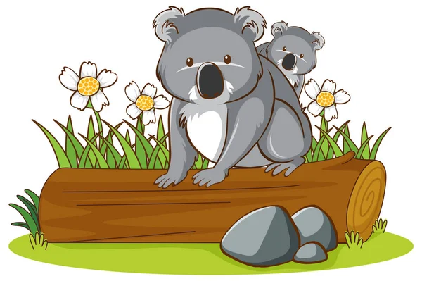 Isolated picture of koala on log — Stock Vector