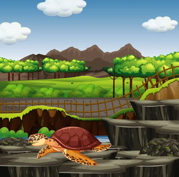 Scéna s mořskou želvou v zoo — Stockový vektor