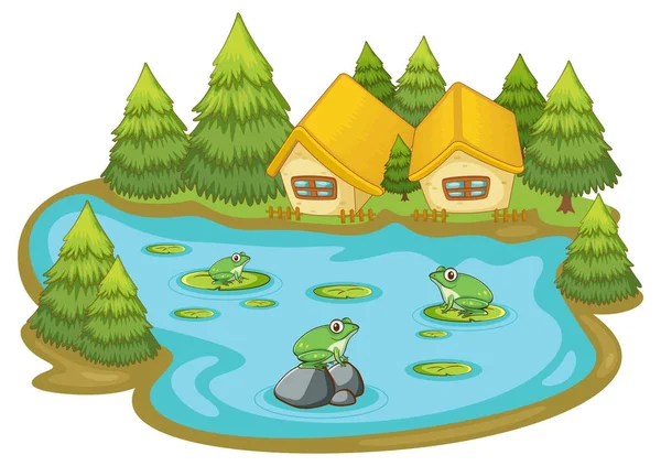 白色背景的池塘中的青蛙 — 图库矢量图片
