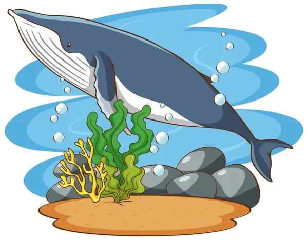 Ballena nadando en el mar — Vector de stock