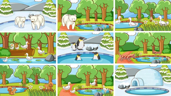 Escenas de fondo de animales en la naturaleza — Vector de stock