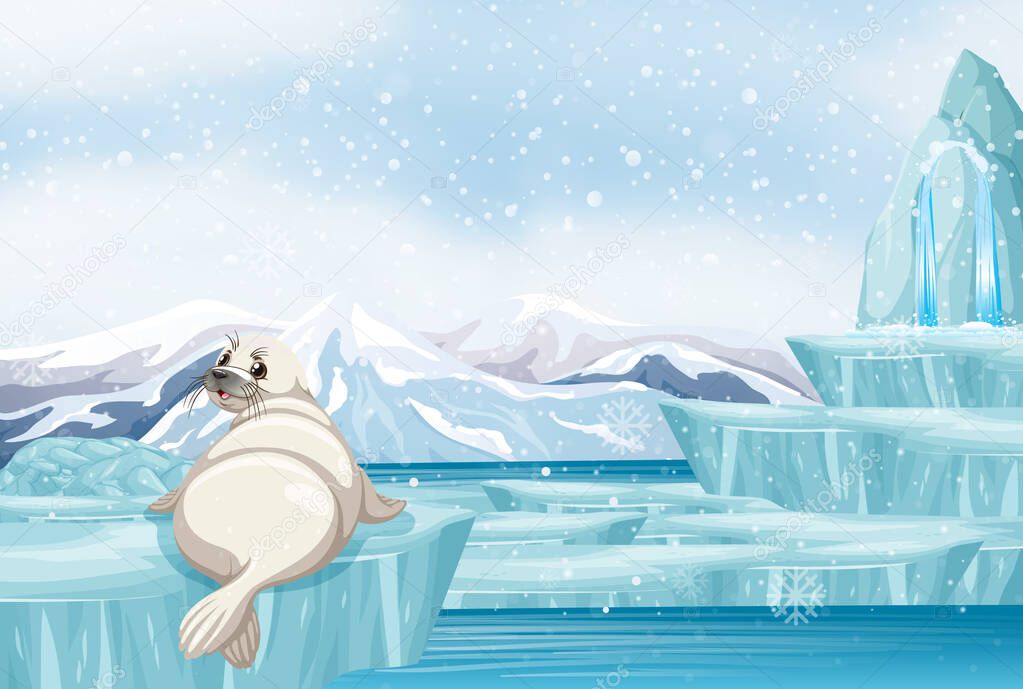 Scene with white seal on ice