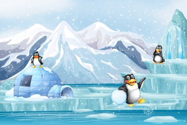 Karda penguen sahnesi