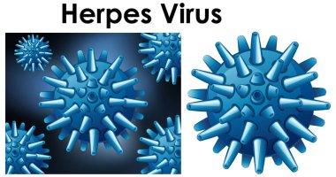 Herpes virüsü adı verilen virüsün izole edilmiş nesnesini kapat