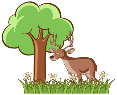 Bahçedeki geyiğin izole edilmiş resmi.