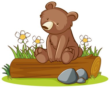 Kütüğün üzerindeki boz ayının izole edilmiş resmi
